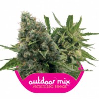 Outdoor Mix